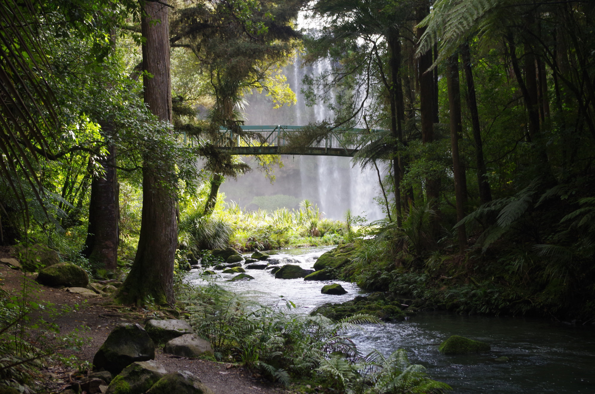 Best NZ businesses