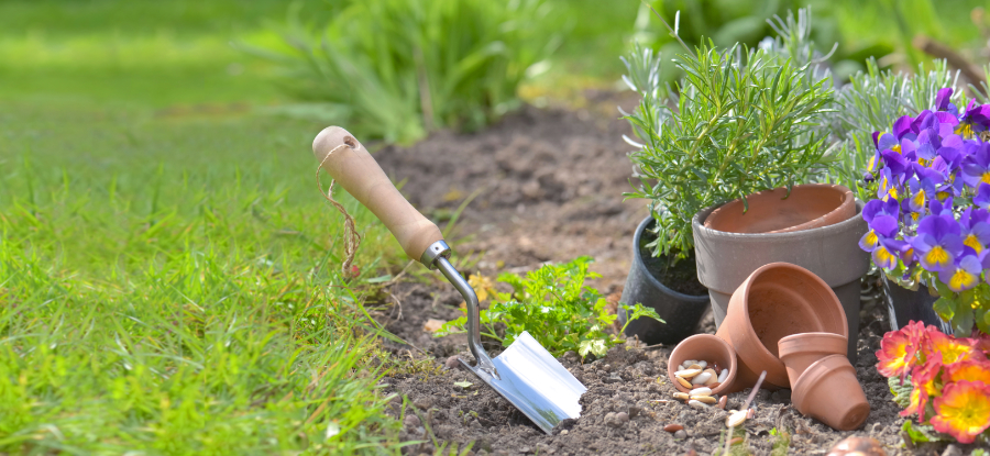 Cleaning with probiotics helps keeps your home healthy